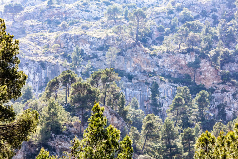Mallorca
