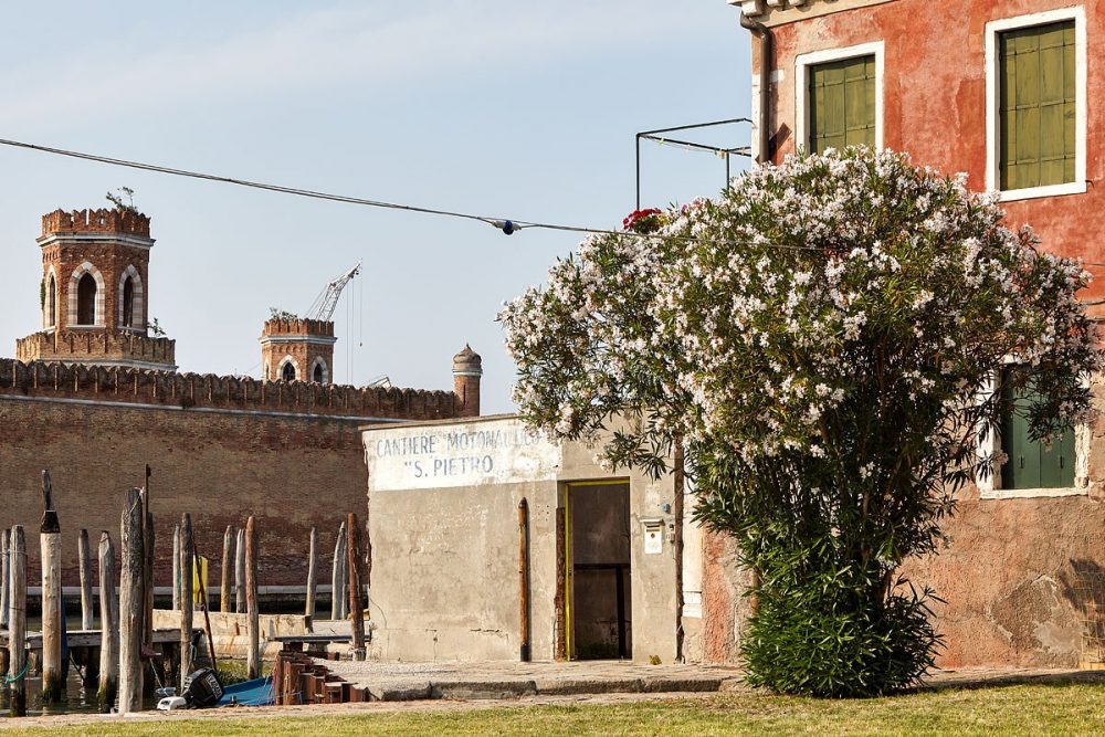 Campo San Pietro